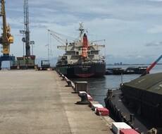 通関士へ、通関トラブル解決のアドバイスをします