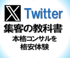 Twitter集客の教科書＋アドバイス送ります 本格コンサルを格安で体験 ノウハウを詰め込みました