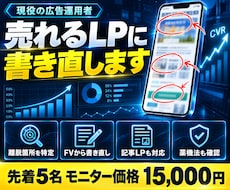 現役運用者がLP・記事LPを添削し書き直します イメージ1