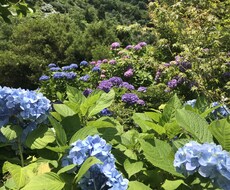あなたのネガティブ、ポジティブに変えます イメージ1