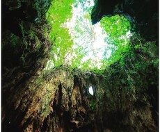 叱らずに、子供を導くことができます イメージ1