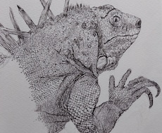 イラストを描きます イメージ1