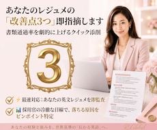 1500円！外資プロがレジュメ改善点を即指摘します ⏱24hで書類通過率を上げたい人へ【英文CVクイック添削】