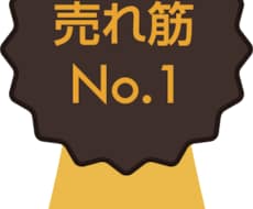 ebayでの売れ筋商品を教えます 新しい販売カテゴリーを開拓したい方へ、朗報です。