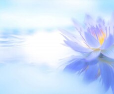 癒しと優しい時間を提供します イメージ1