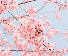 お話し相手に☆愚痴やお悩み何でも聞きます イメージ1