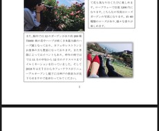 神戸の観光オススメスポット教えます イメージ1