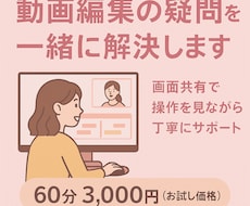 動画編集の「わからない」をその場で解決します イメージ1