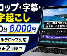 動画のテロップ・字幕・文字起こしを代行します イメージ1