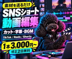 素材を送るだけ！SNSショート動画を編集します イメージ1