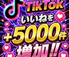 TikTokいいね5000件増やします イメージ1