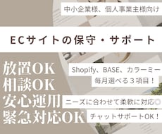 ネットショップの保守代行・運用サポートします イメージ1