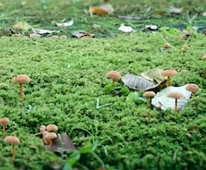 看護の大学院生活、研究についてお教えします イメージ1