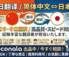 アニメ・漫画の日中翻訳を丁寧に作成します イメージ1