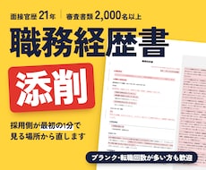 職務経歴書添削・作成｜人事のプロが作成します イメージ1