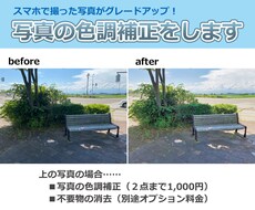 写真を綺麗に補正(+加工)をします オフセット印刷・SNS・ブログ用・ECサイトetc.何でも