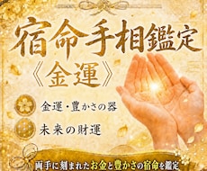両手に刻まれたお金と豊かさの宿命を読み解きます イメージ1