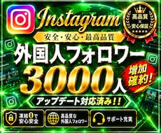 Instagramフォロワーを3000人増加します Instagramフォロワー3000人増加！減少保証あり！
