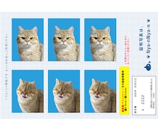 証明写真！うちの子が主役のオリジナル写真を作ります 愛猫・愛犬のかわいさを閉じ込めた証明写真風をお作りします！