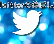 Twitterの伸ばし方教えます 長時間Twitterに割けなくてもなるべく効率良く運用を
