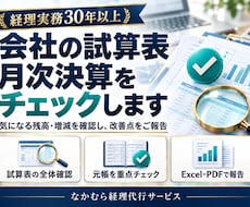 会社の試算表・月次決算をチェックします イメージ1