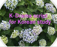 韓国ドラマの台本を提供いたします イメージ1
