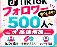 TikTokフォロワー500人～増やします 高速増加！減少率15%！オプションで人数の追加も可能です✨