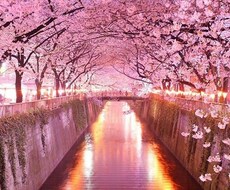 白雲大龍神の力を使い、良い縁の後押しをします 縁を繋ぐためのお手伝いをしています。