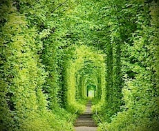 開運の手助けをいたします イメージ1