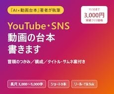 伝わるYouTube・SNS動画の台本を書きます イメージ1