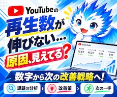 YouTubeの再生数の改善戦略を提案します イメージ1