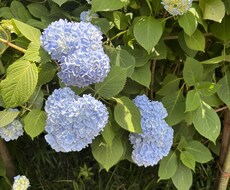 話し相手、愚痴聞き相手になります イメージ1