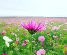 少し息抜きしませんか？あなたの心を軽くします イメージ1