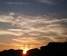 一人で悩まないでꕤ*.ﾟ守秘義務はお守り致します 1分だけでも良いですよ♡モコが優しくお聞きしますꕤ*.ﾟ