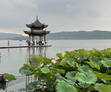 中国ビジネスの市場動向調査を行います イメージ1