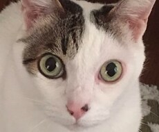 お話しお聞きします イメージ1