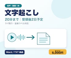 20分までの音声・動画1本を文字起こしします イメージ1