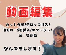 動画編集何でもいたします イメージ1