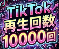 TikTok再生回数10000回増やします ⭐️高品質で減りにくい⭐️再生数が増えるよう拡散します！