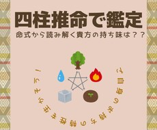 運勢・図解＆グラフの鑑定書付　四柱推命で占います イメージ1