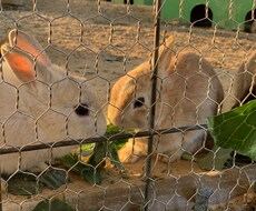 アトピーとサヨナラできます 最近、長年、とにかくアトピーや肌荒れを薬を使わずにサヨナラ