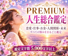 人生まるごと深く視るプレミアム鑑定をお届けします イメージ1