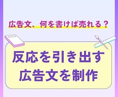 成功広告から導く、反応を生む広告文制作します 米国式マーケティングの手法で、「欲しい」を引き出す広告文を