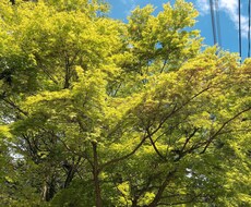 予防的カウンセリング！お話をお聴きします イメージ1