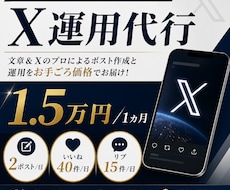X（Twitter）｜60投稿＋1カ月運用します 文章＆Xのプロによるポスト作成と運用をお手ごろ価格でお届け！