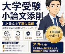 24時間以内返却！大学受験等小論文添削します プロの視点で「合格する論文」へ。再添削付きで試験直前でも安心