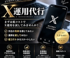 X『いいね100件』運用代行を致します 1ヶ月間100/1日　いいね致します