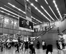 風景写真(自然・街中)を販売します イメージ1