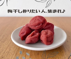 初めての梅干し作りを伴走します 初回3名様限定価格／重しなし&保存袋で少量から始める梅仕事