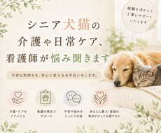 シニア犬猫の介護や日常ケア、看護師が悩み聞きます 老犬老猫の毎日のケア、動物看護師と一緒に考えてみませんか？